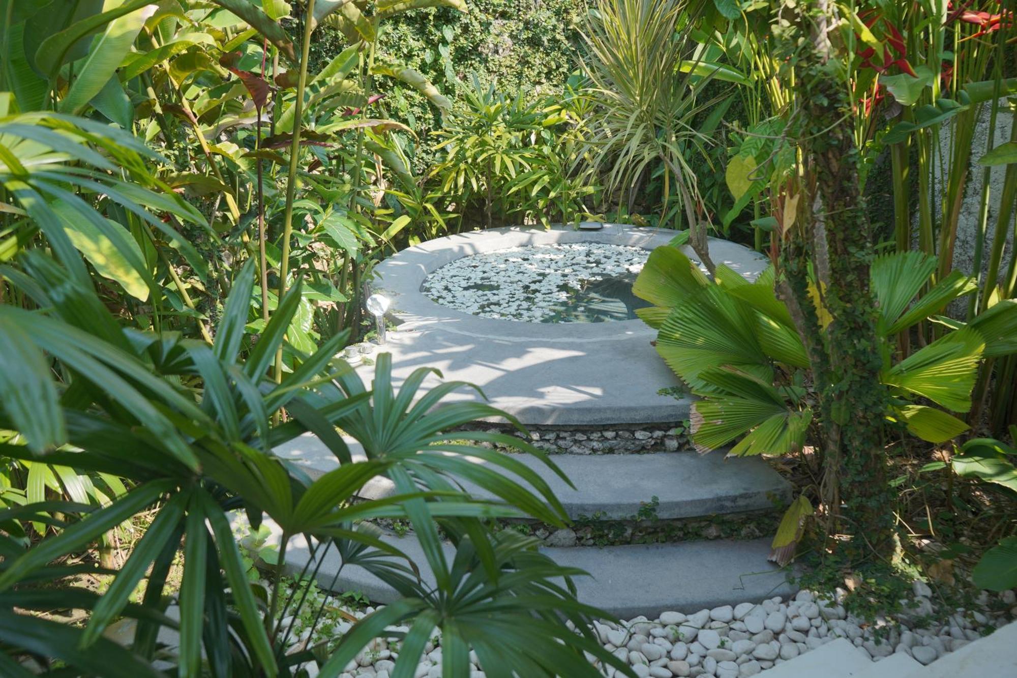Liv Canggu - An Urban Sanctuary Номер фото